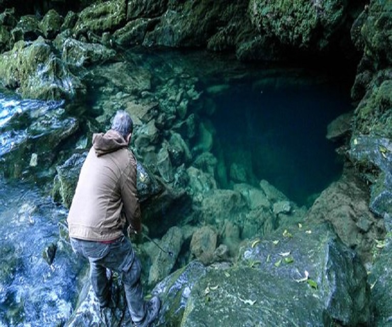 Source of Riwaka